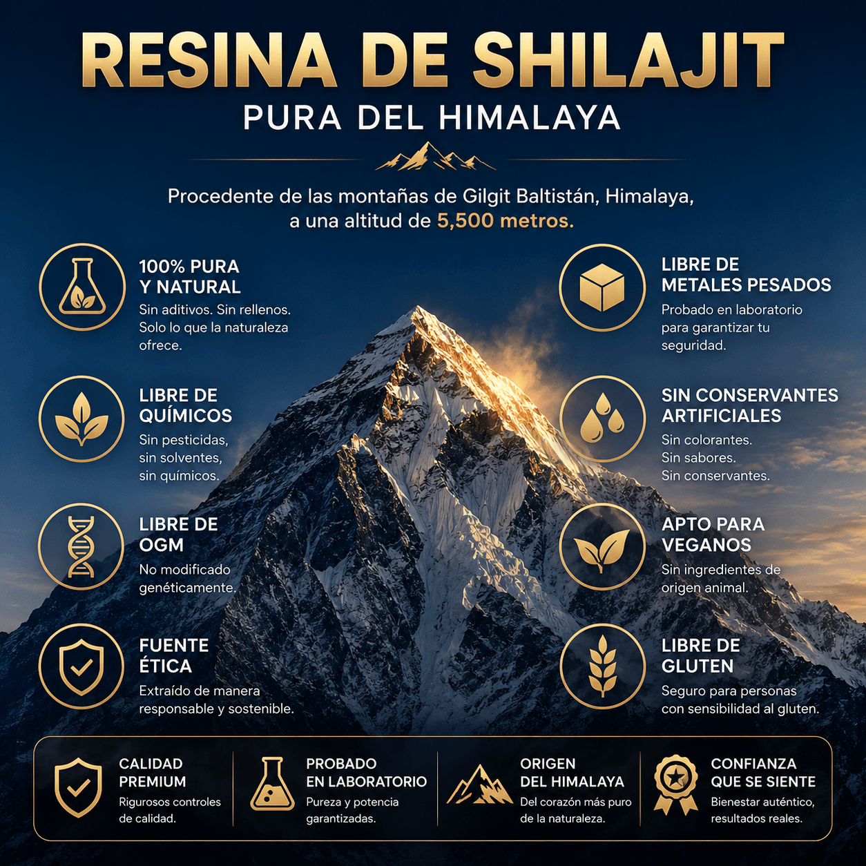 Googeer Shilajits – La Resina Mineral del Himalaya para Energía, Foco y Vitalidad Natural
