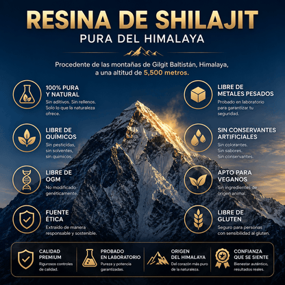 Googeer Shilajits – La Resina Mineral del Himalaya para Energía, Foco y Vitalidad Natural