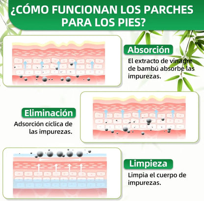 ¿Te despiertas cansado aunque hayas dormido 8 horas? No es tu culpa. Son las toxinas que tu cuerpo no logra eliminar solo.
